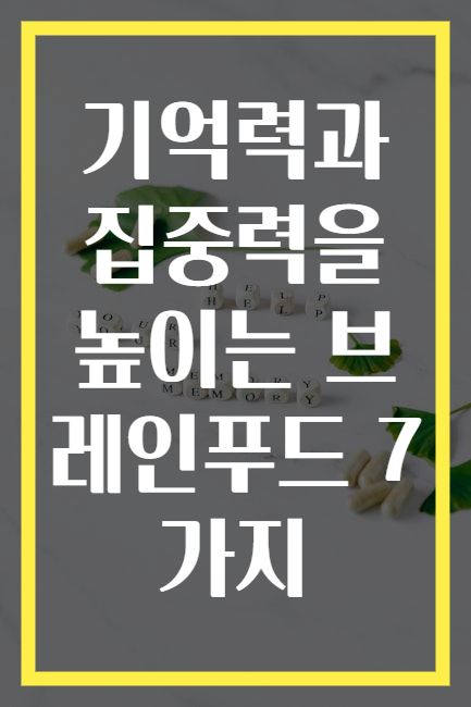 기억력과 집중력을 높이는 브레인푸드 7가지