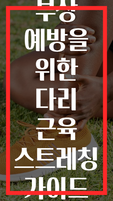 부상 예방을 위한 다리 근육 스트레칭 가이드