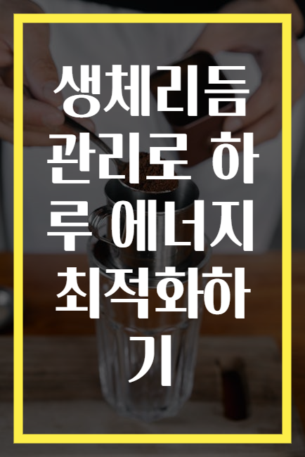 생체리듬 관리로 하루 에너지 최적화하기