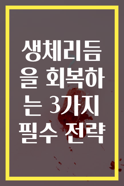 생체리듬을 회복하는 3가지 필수 전략