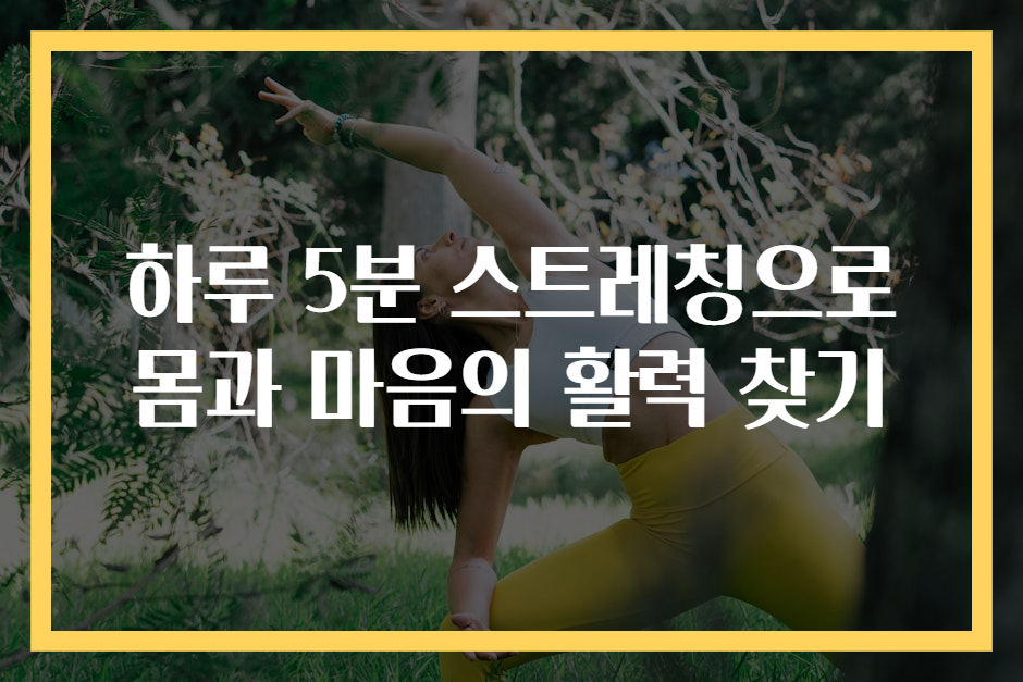 하루 5분 스트레칭으로 몸과 마음의 활력 찾기