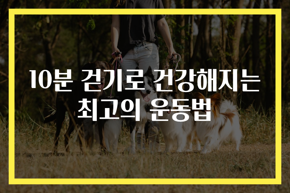 10분 걷기로 건강해지는 최고의 운동법