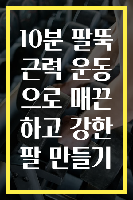 10분 팔뚝 근력 운동으로 매끈하고 강한 팔 만들기