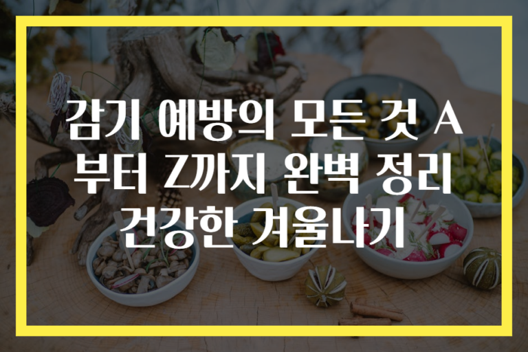 감기 예방의 모든 것 A부터 Z까지 완벽 정리 건강한 겨울나기