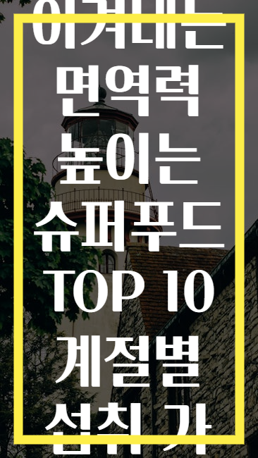 감기도 이겨내는 면역력 높이는 슈퍼푸드 TOP 10 계절별 섭취 가이드