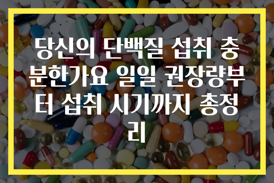 당신의 단백질 섭취 충분한가요 일일 권장량부터 섭취 시기까지 총정리