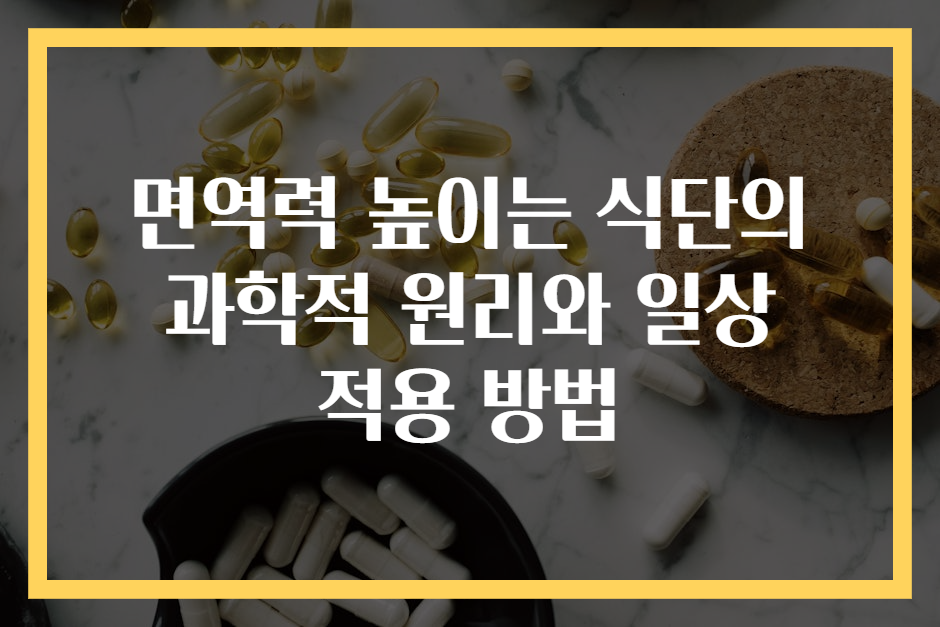 면역력 높이는 식단의 과학적 원리와 일상 적용 방법