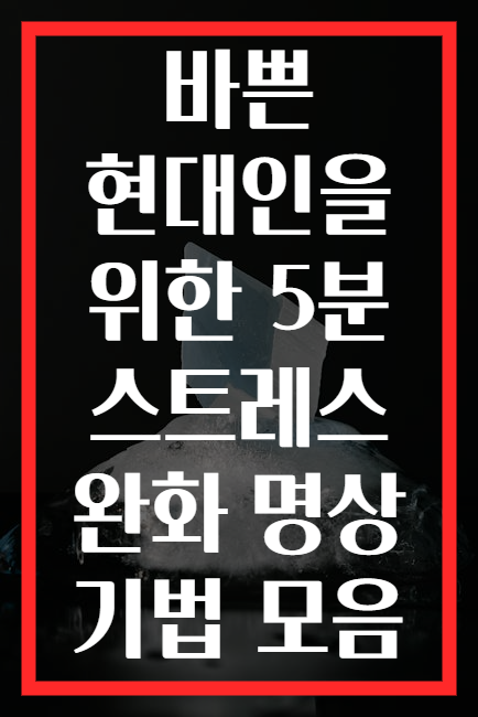 바쁜 현대인을 위한 5분 스트레스 완화 명상 기법 모음