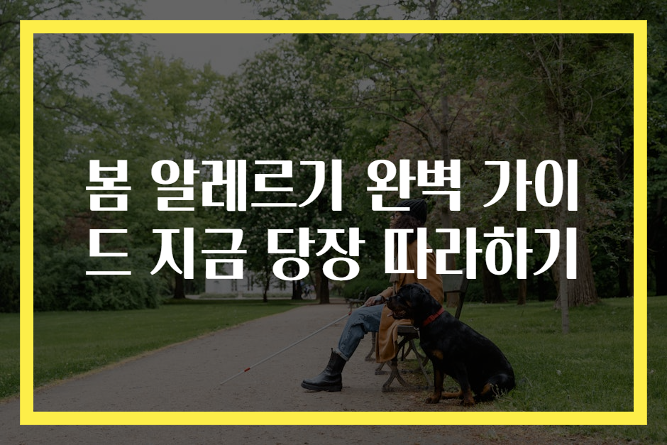 봄 알레르기 완벽 가이드 지금 당장 따라하기