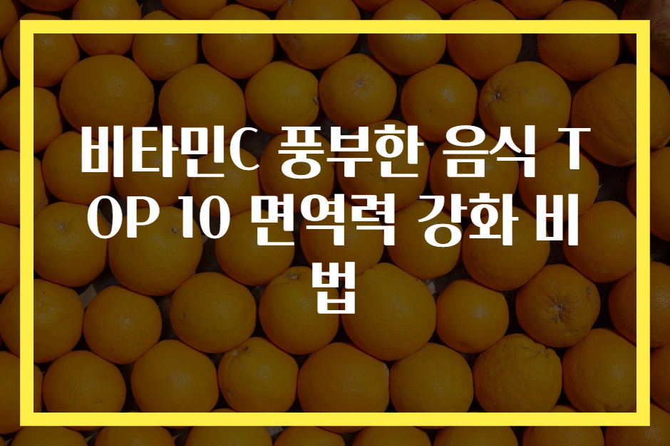 비타민C 풍부한 음식 TOP 10 면역력 강화 비법