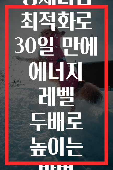 생체리듬 최적화로 30일 만에 에너지 레벨 두배로 높이는 방법