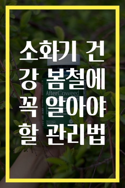 소화기 건강 봄철에 꼭 알아야 할 관리법