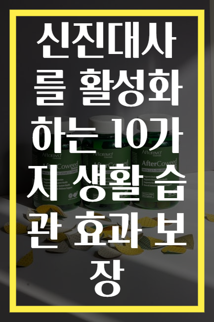 신진대사를 활성화하는 10가지 생활 습관 효과 보장