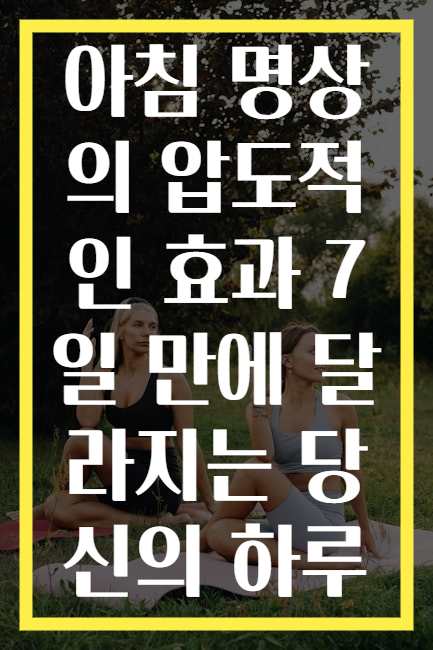 아침 명상의 압도적인 효과 7일 만에 달라지는 당신의 하루