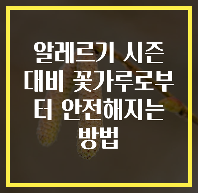 알레르기 시즌 대비 꽃가루로부터 안전해지는 방법