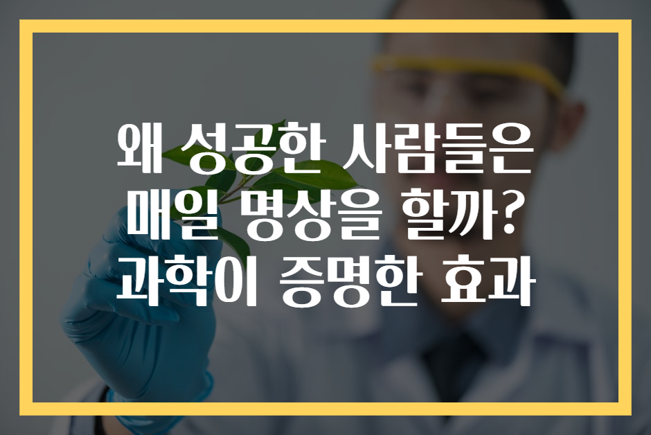 왜 성공한 사람들은 매일 명상을 할까? 과학이 증명한 효과