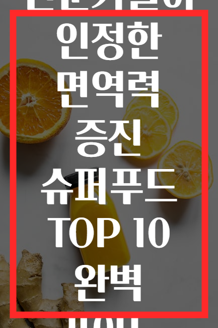 전문가들이 인정한 면역력 증진 슈퍼푸드 TOP 10 완벽 가이드