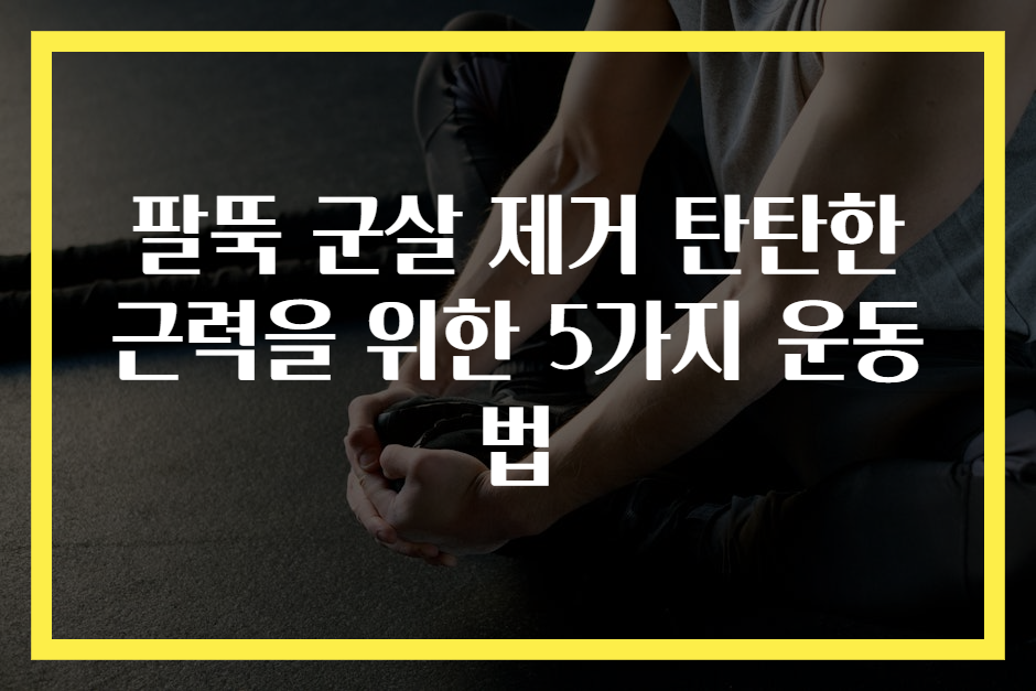 팔뚝 군살 제거 탄탄한 근력을 위한 5가지 운동법