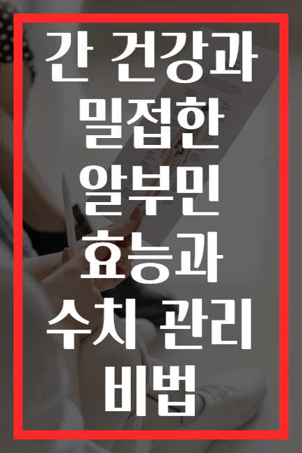 간 건강과 밀접한 알부민 효능과 수치 관리 비법