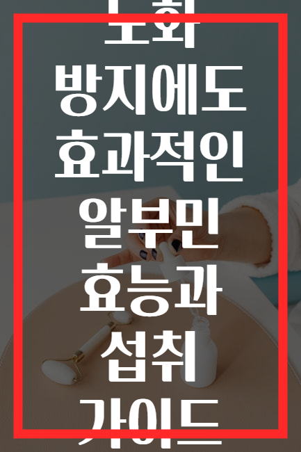 노화 방지에도 효과적인 알부민 효능과 섭취 가이드