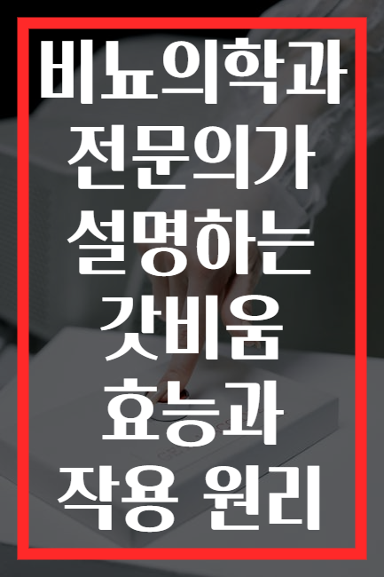 비뇨의학과 전문의가 설명하는 갓비움 효능과 작용 원리