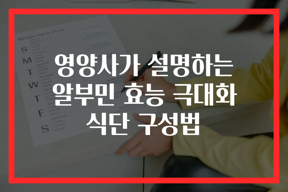 영양사가 설명하는 알부민 효능 극대화 식단 구성법