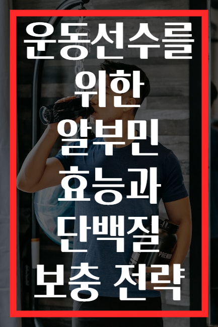 운동선수를 위한 알부민 효능과 단백질 보충 전략