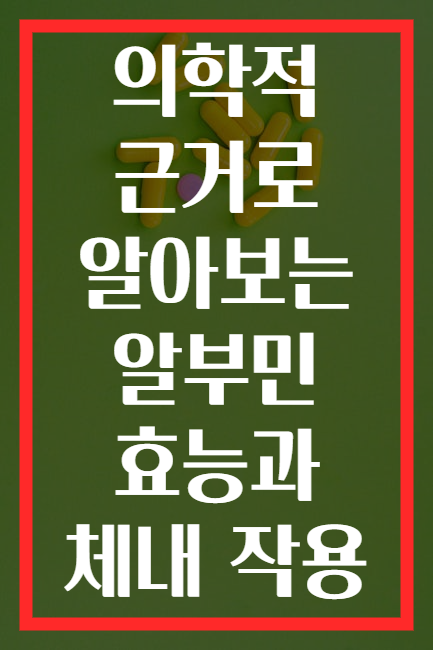 의학적 근거로 알아보는 알부민 효능과 체내 작용