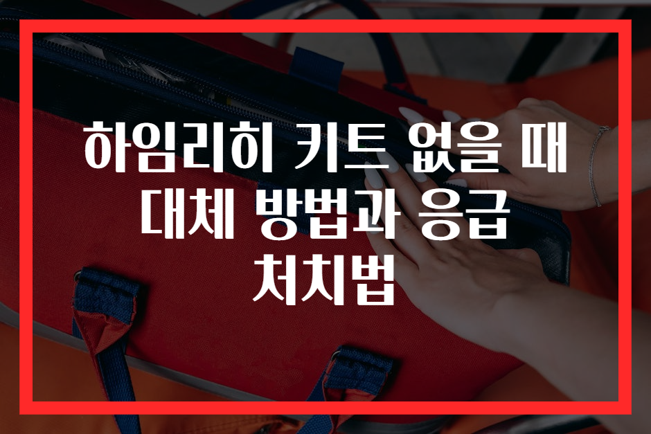 하임리히 키트 없을 때 대체 방법과 응급 처치법