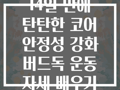 14일 만에 탄탄한 코어 안정성 강화 버드독 운동 자세 배우기