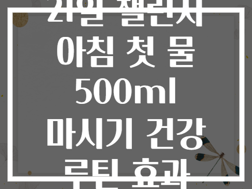 21일 챌린지 아침 첫 물 500ml 마시기 건강 루틴 효과