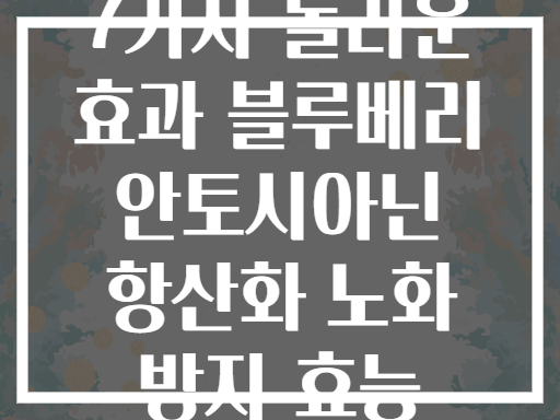 7가지 놀라운 효과 블루베리 안토시아닌 항산화 노화 방지 효능