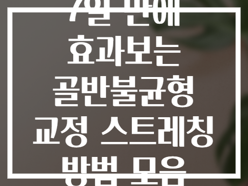 7일 만에 효과보는 골반불균형 교정 스트레칭 방법 모음