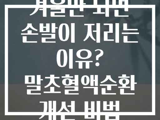 겨울만 되면 손발이 저리는 이유? 말초혈액순환 개선 비법