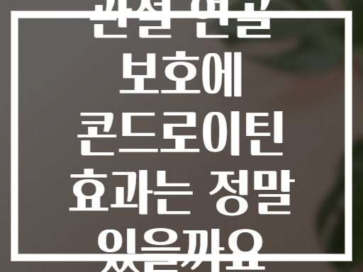관절 연골 보호에 콘드로이틴 효과는 정말 있을까요