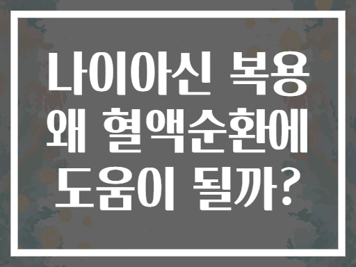 나이아신 복용 왜 혈액순환에 도움이 될까?