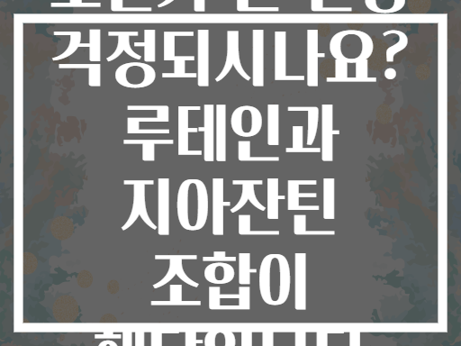 노년기 눈 건강 걱정되시나요? 루테인과 지아잔틴 조합이 해답입니다