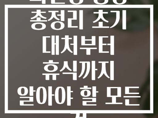 뇌진탕 증상 총정리 초기 대처부터 휴식까지 알아야 할 모든 것