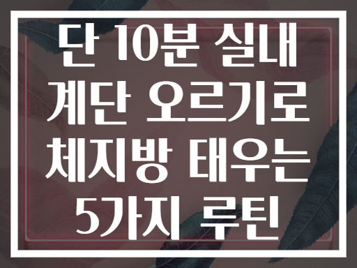 단 10분 실내 계단 오르기로 체지방 태우는 5가지 루틴