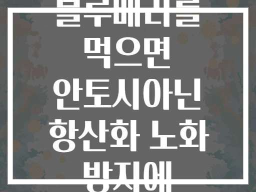 매일 블루베리를 먹으면 안토시아닌 항산화 노화 방지에 효과적일까