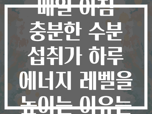 매일 아침 충분한 수분 섭취가 하루 에너지 레벨을 높이는 이유는