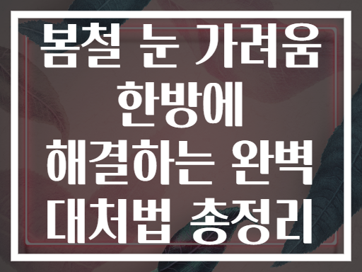 봄철 눈 가려움 한방에 해결하는 완벽 대처법 총정리
