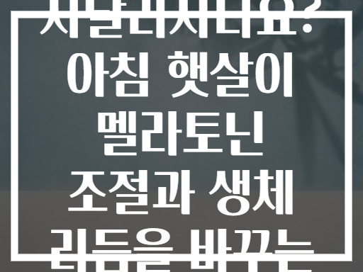 불면증에 시달리시나요? 아침 햇살이 멜라토닌 조절과 생체 리듬을 바꾸는 비밀
