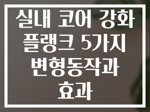 실내 코어 강화 플랭크 5가지 변형동작과 효과