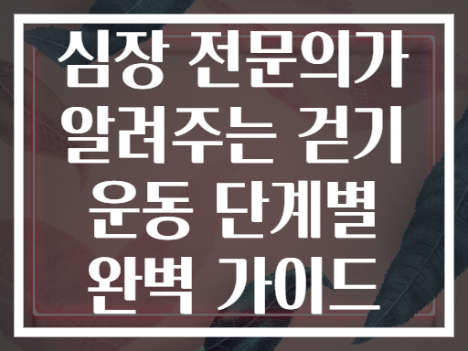 심장 전문의가 알려주는 걷기 운동 단계별 완벽 가이드