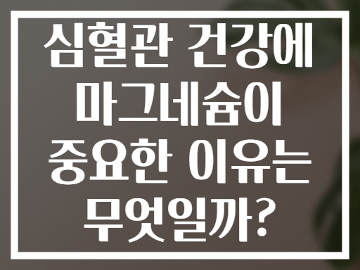 심혈관 건강에 마그네슘이 중요한 이유는 무엇일까?