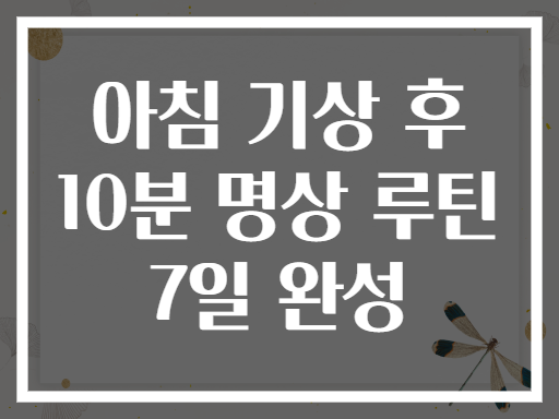 아침 기상 후 10분 명상 루틴 7일 완성