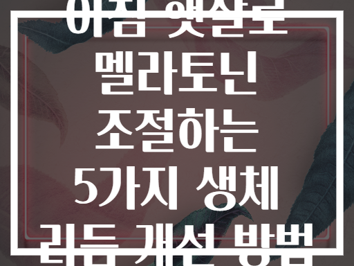 아침 햇살로 멜라토닌 조절하는 5가지 생체 리듬 개선 방법