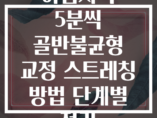 아침저녁 5분씩 골반불균형 교정 스트레칭 방법 단계별 정리