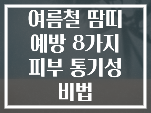 여름철 땀띠 예방 8가지 피부 통기성 비법